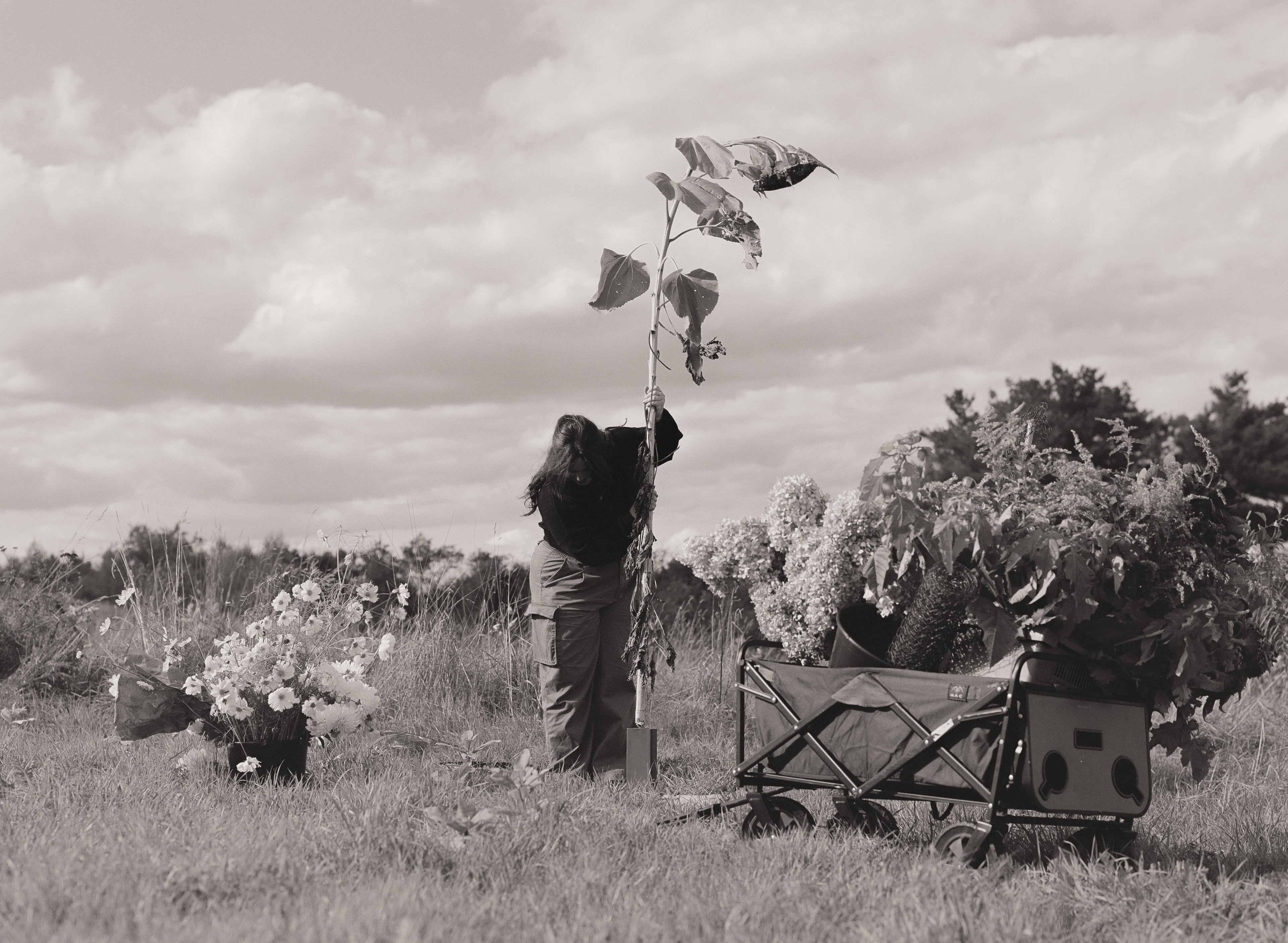An Inspired Shoot: American Gothic