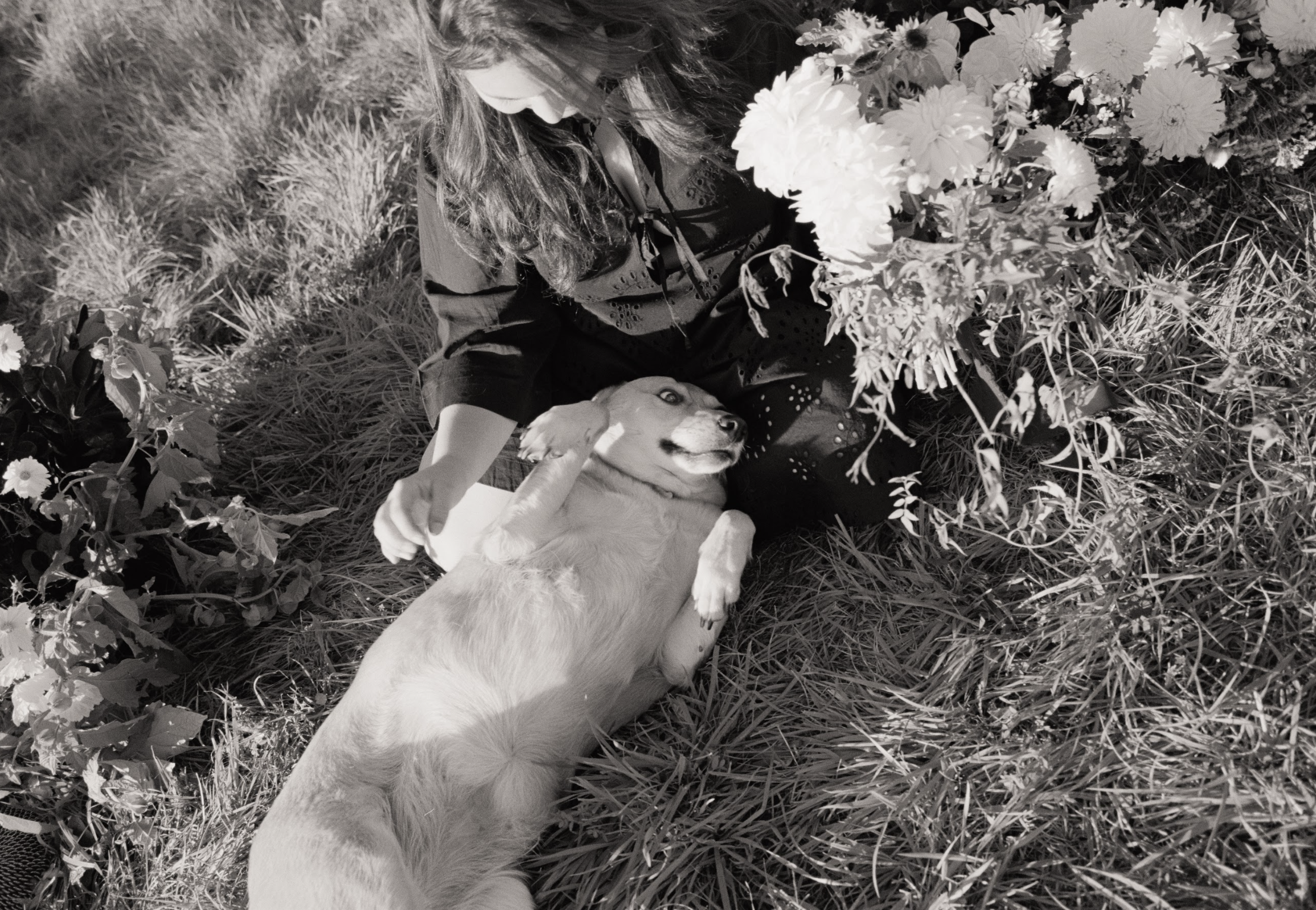 Person lying on grass with a dog, surrounded by flowers