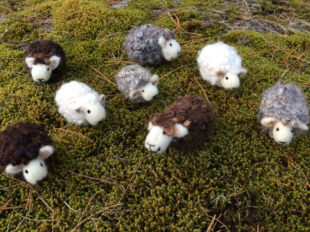 Felted Sheep with The Felted Acorns